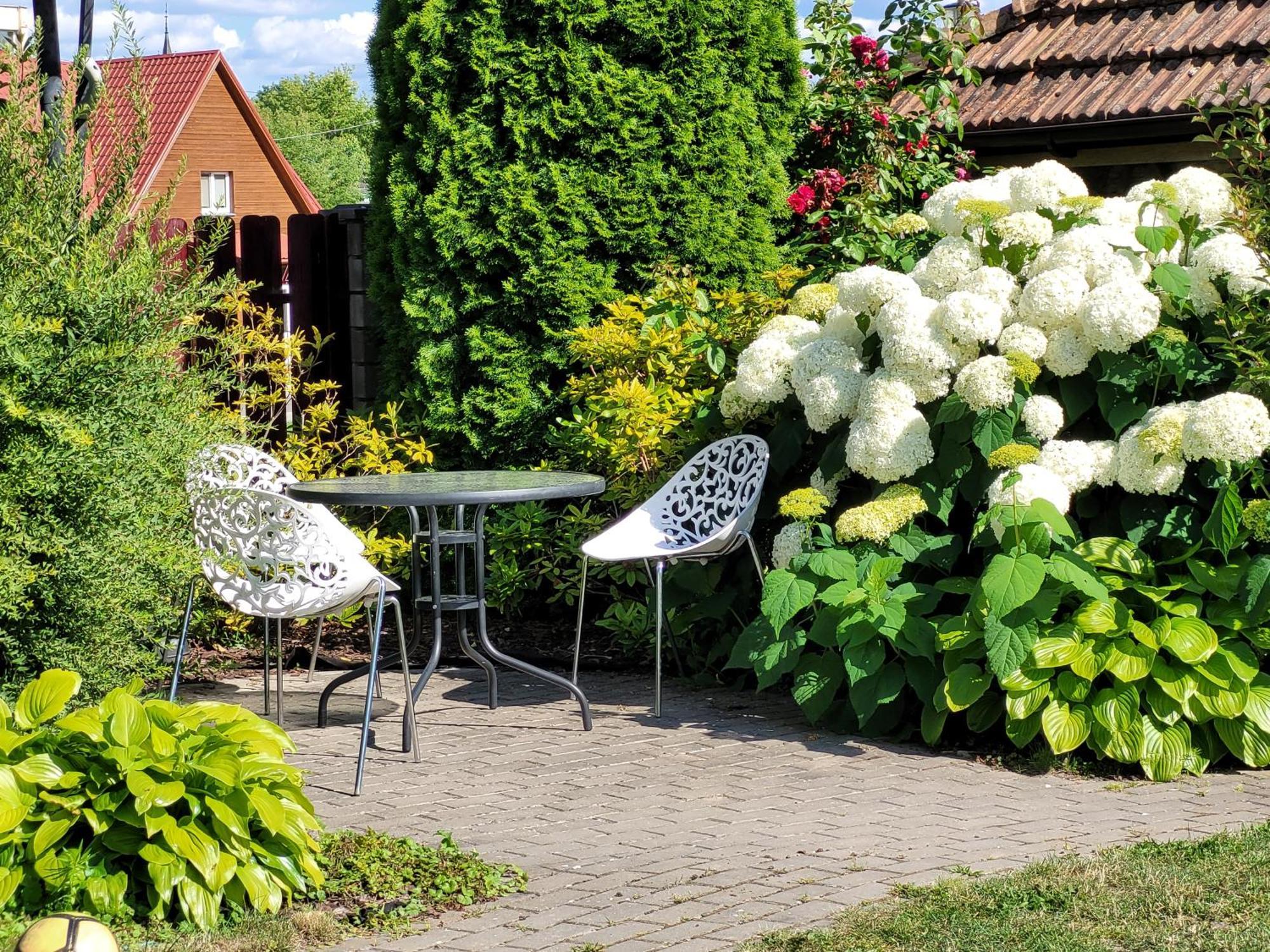 Chalet Villa Rex Druskininkai Exterior foto