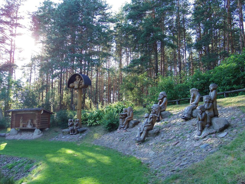 Chalet Villa Rex Druskininkai Exterior foto